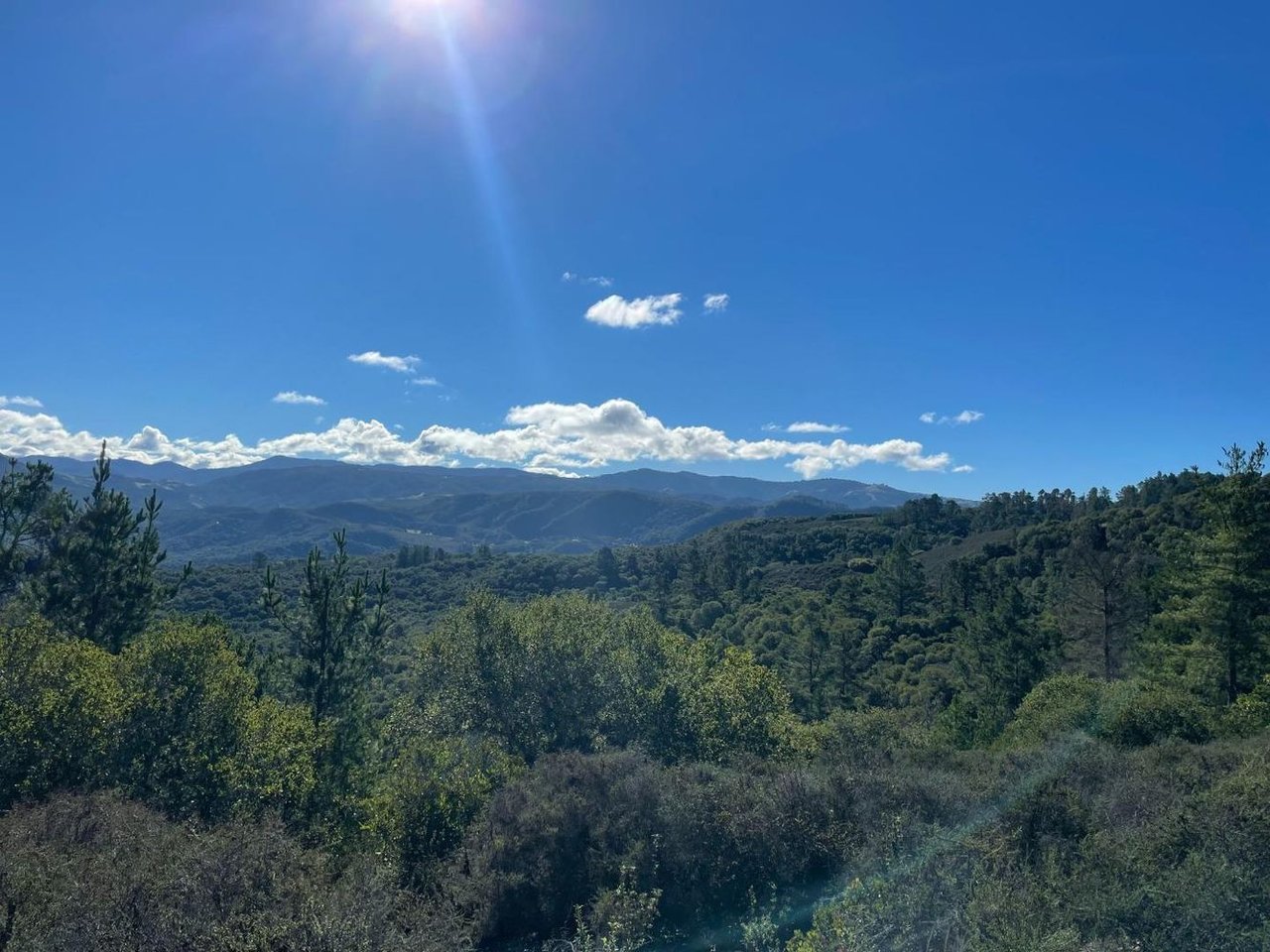 73 Este Alomar (lot 55)