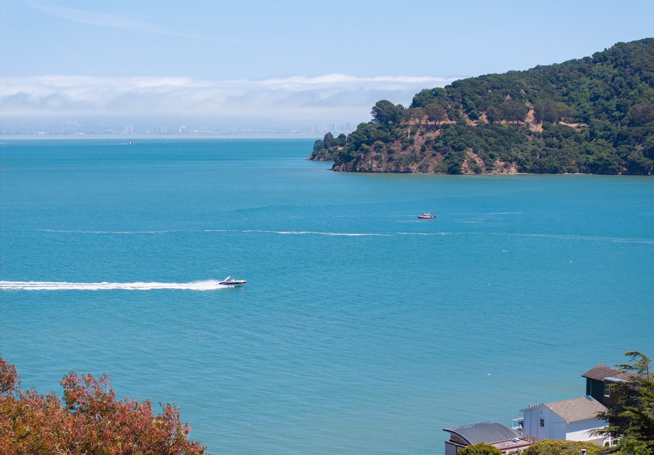 Picturesque Views of the Bay and Angel Island