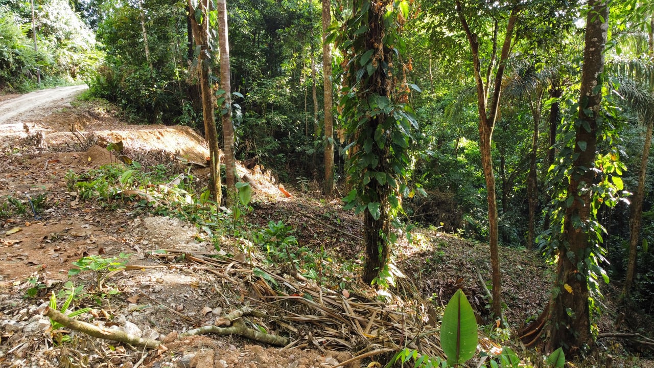 Unique property with terraces and spectacular views near Manuel Antonio National Park