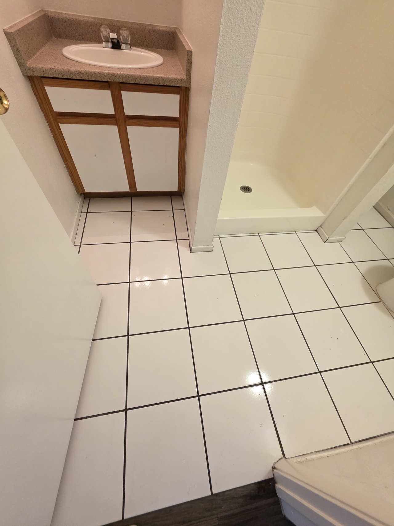 3849 Soda Springs Drive - 1