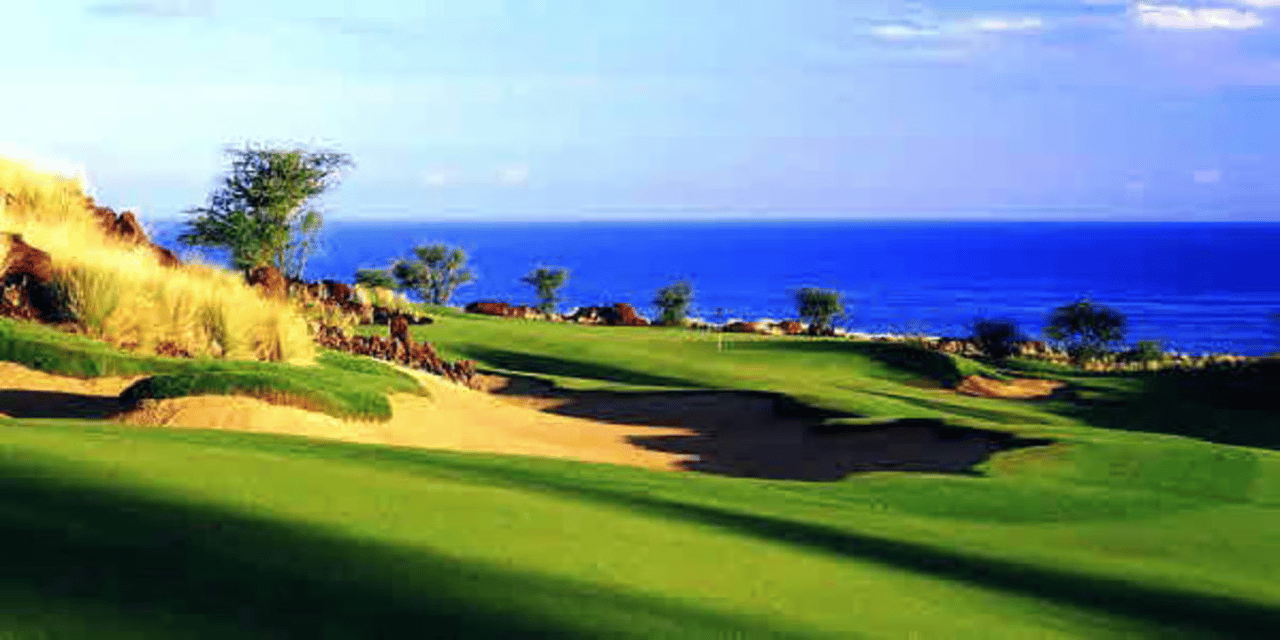 72-3180 Alapii Kula Dr