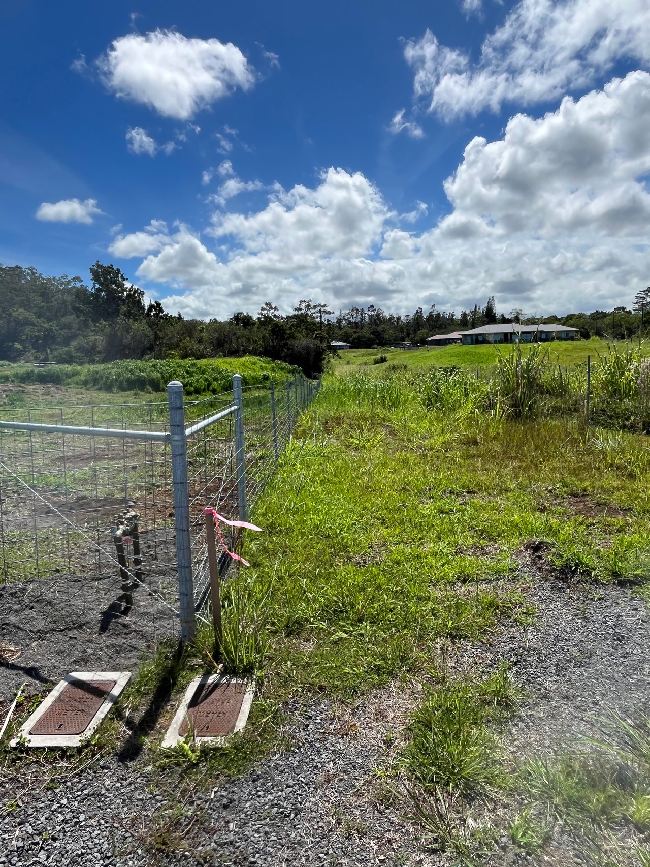 YOUNG RD., HILO HI 96720