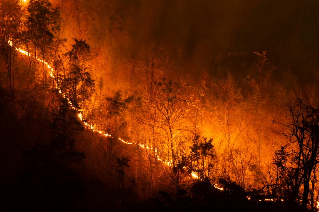 Fire Insurance: Rumor vs. Reality
