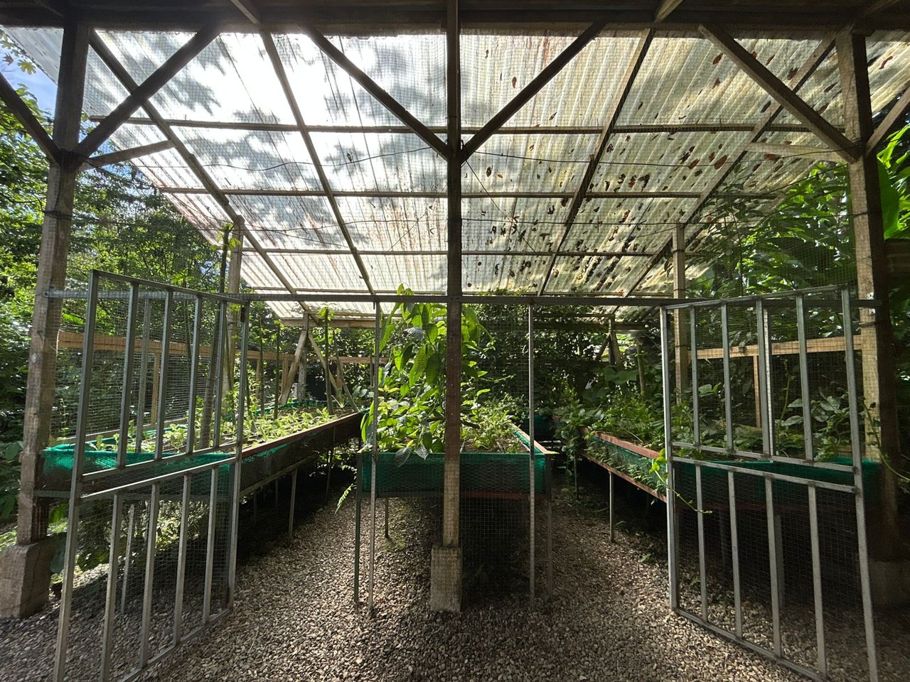 60 Acre Fully Sustainable and Impactful Conservation Initiative Near Golfito
