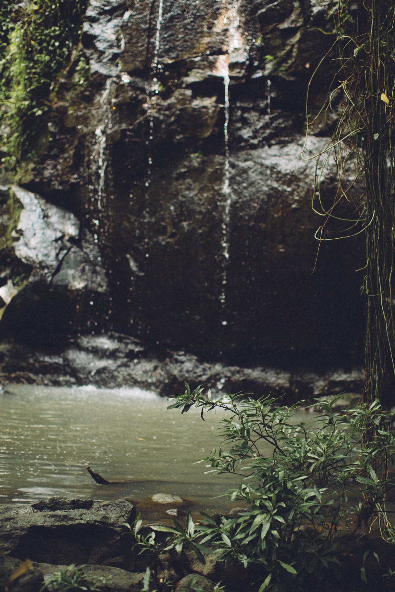  Punta Sabana & Mar Serena