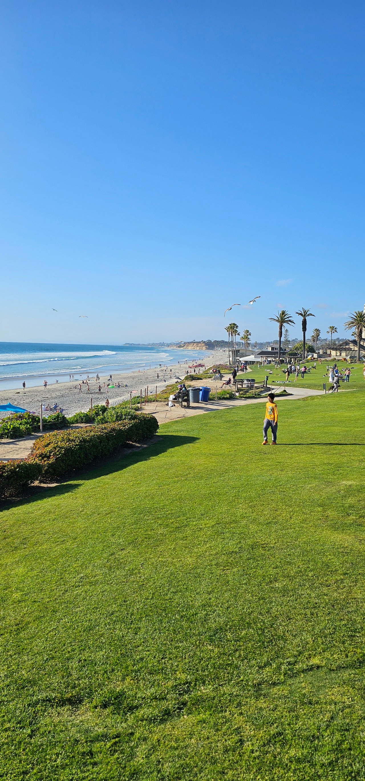 Living in Del Mar, CA: A Coastal Paradise for Homebuyers