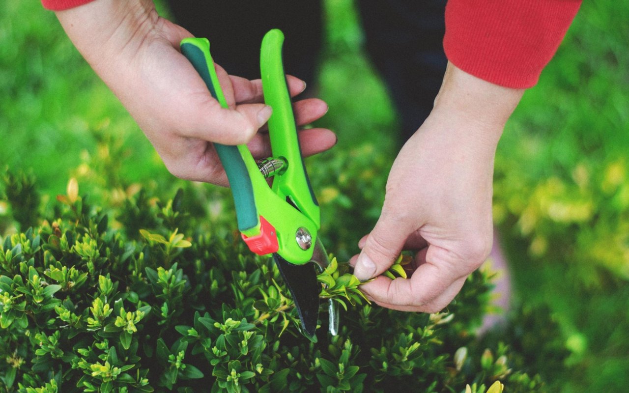 Georgetown, DC Through the Seasons: Home Maintenance Tips