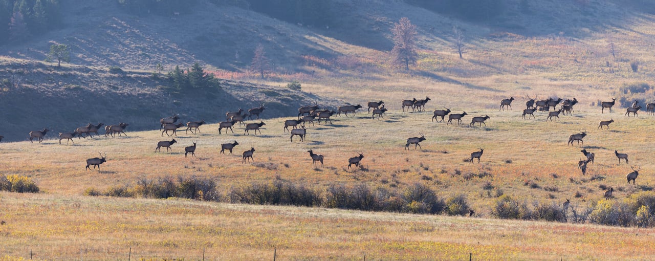 Box Elder Ranch