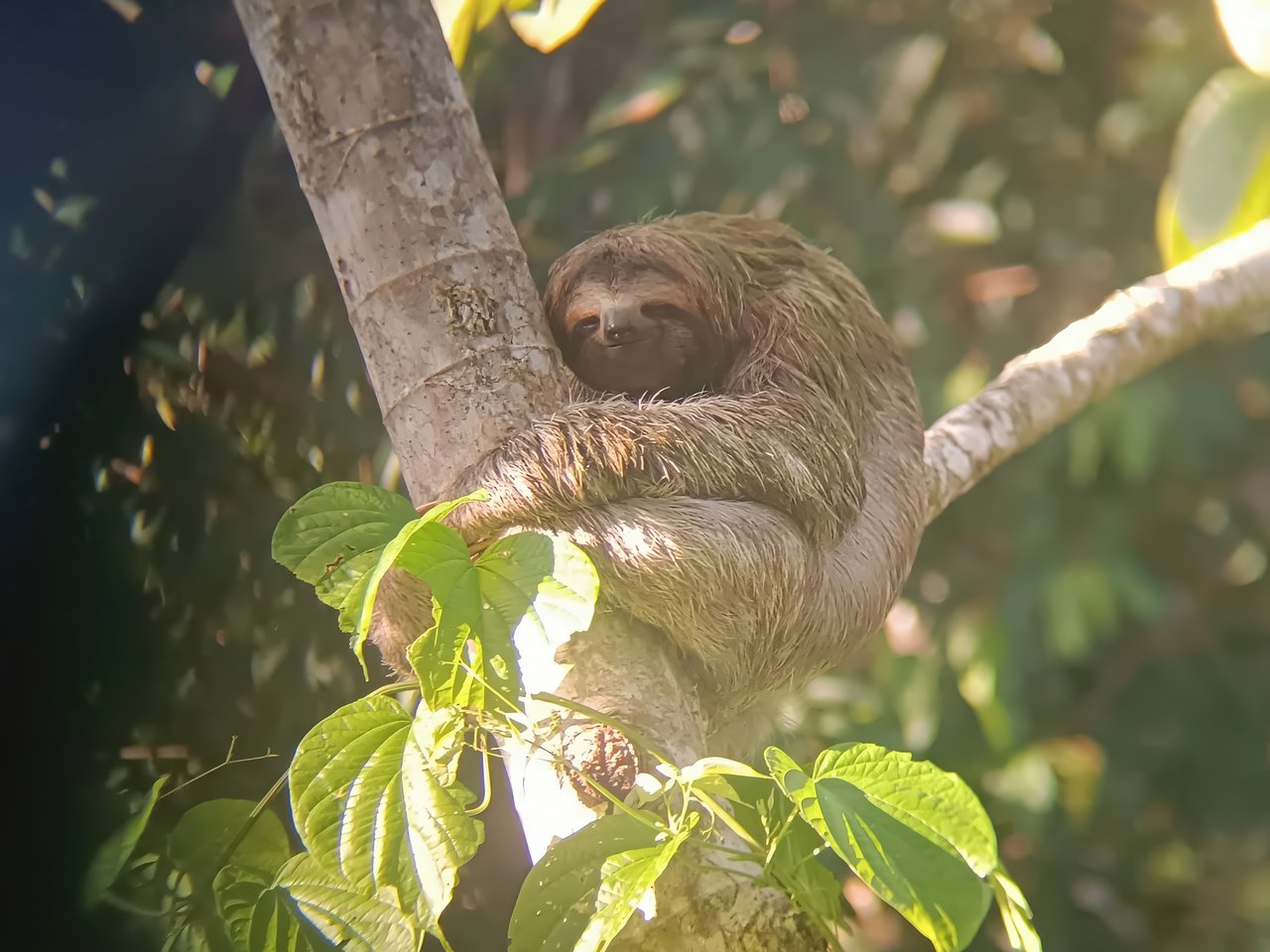 Multi-Family Compound, 4 Fully Furnished Units | 15 Minutes to the Beach