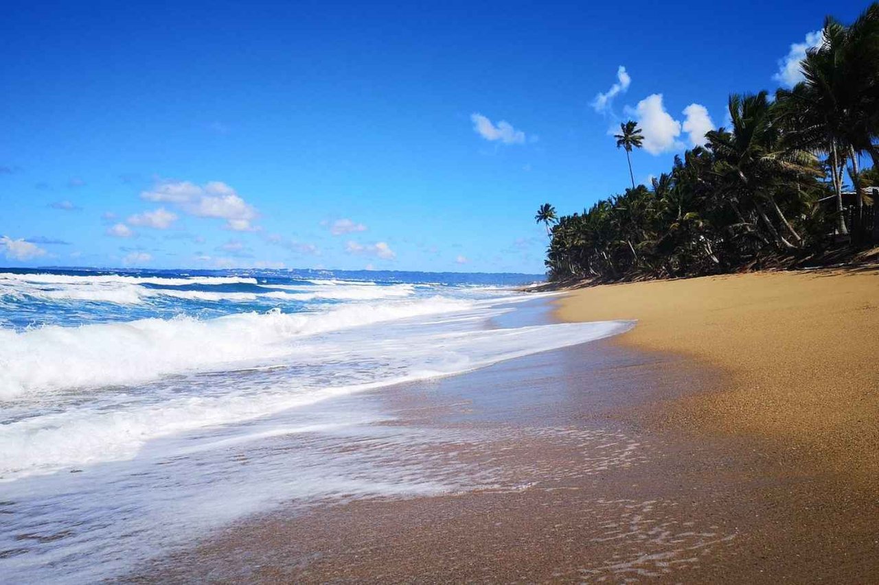 Homes for Sale in Rincón PR: A Luxury Buyer's Guide to the Top Barrios & Beach Pockets