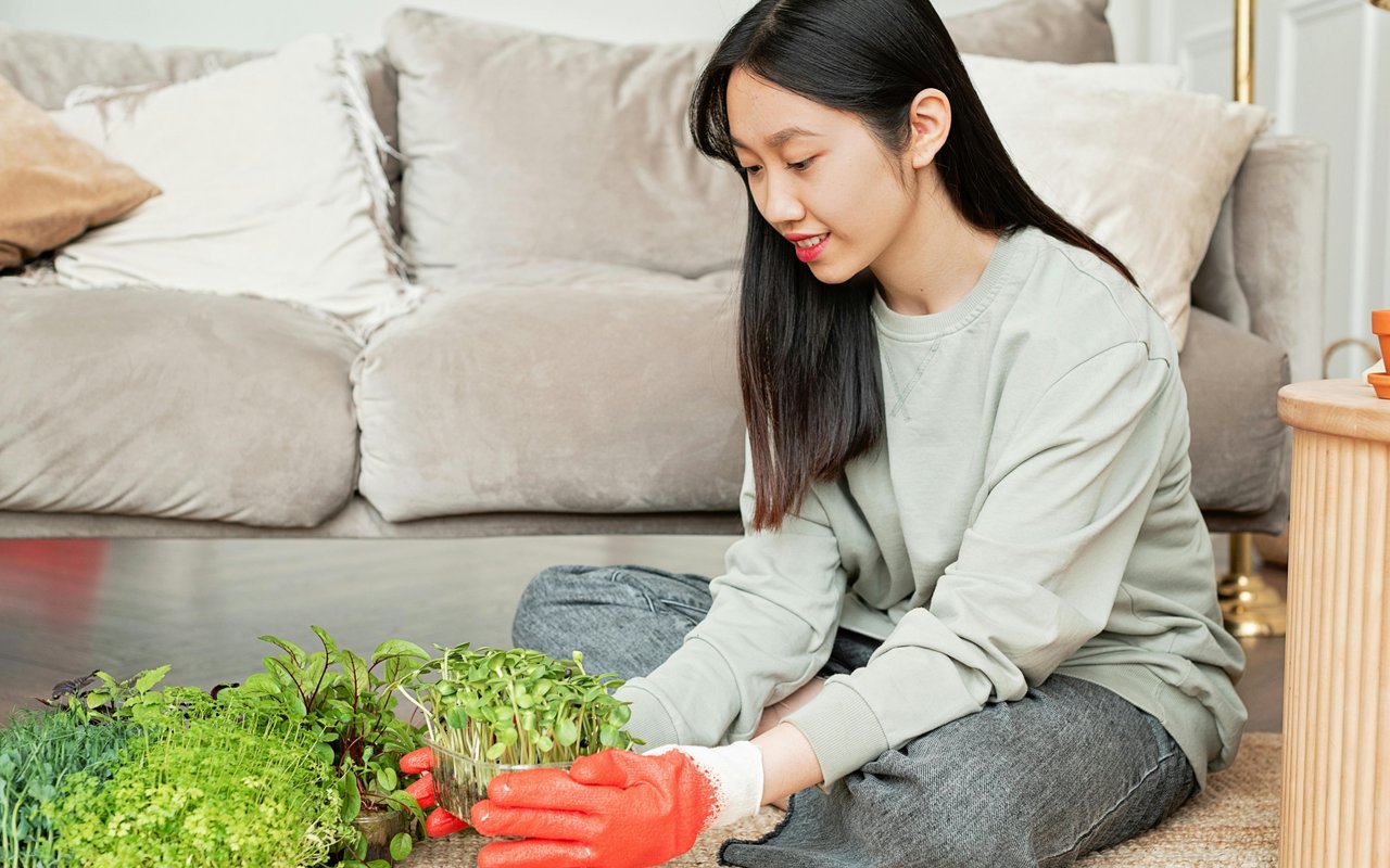 Sustainable Home Improvement Tips