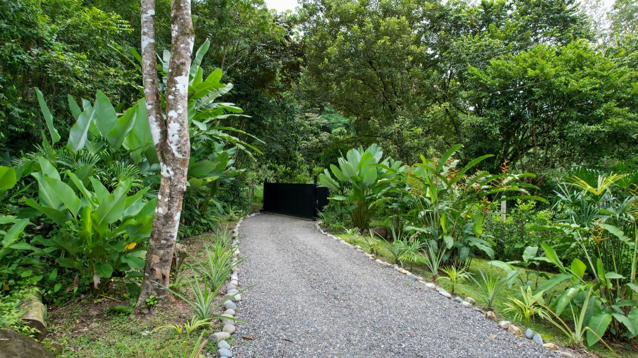 Contemporary Jungle Retreat in Tres Rios, Costa Rica