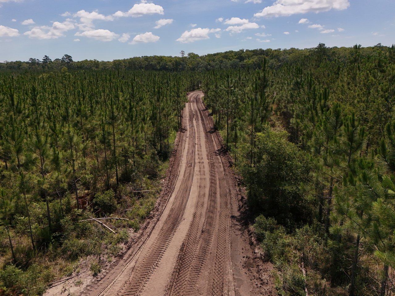 Future community access road in Saddletree at EverRange