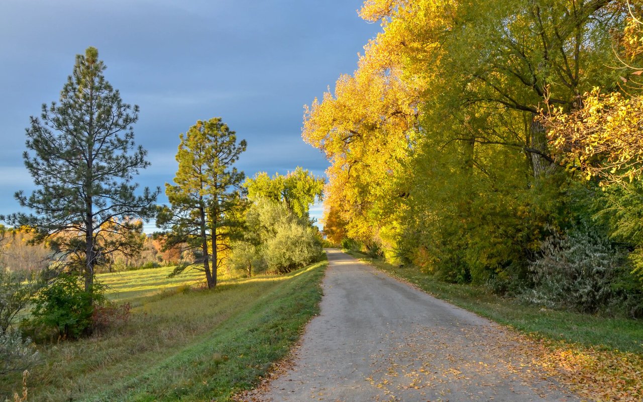 Prairie Grove