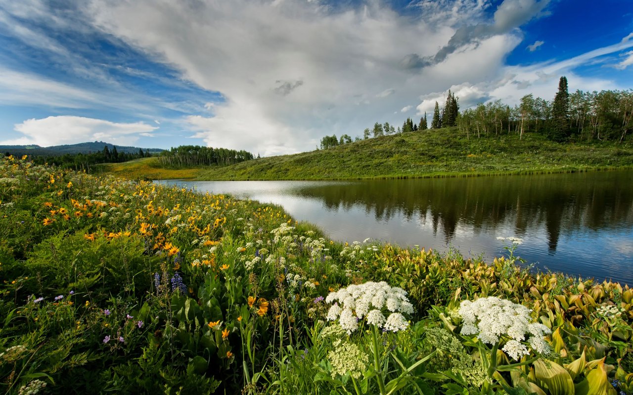 South Valley