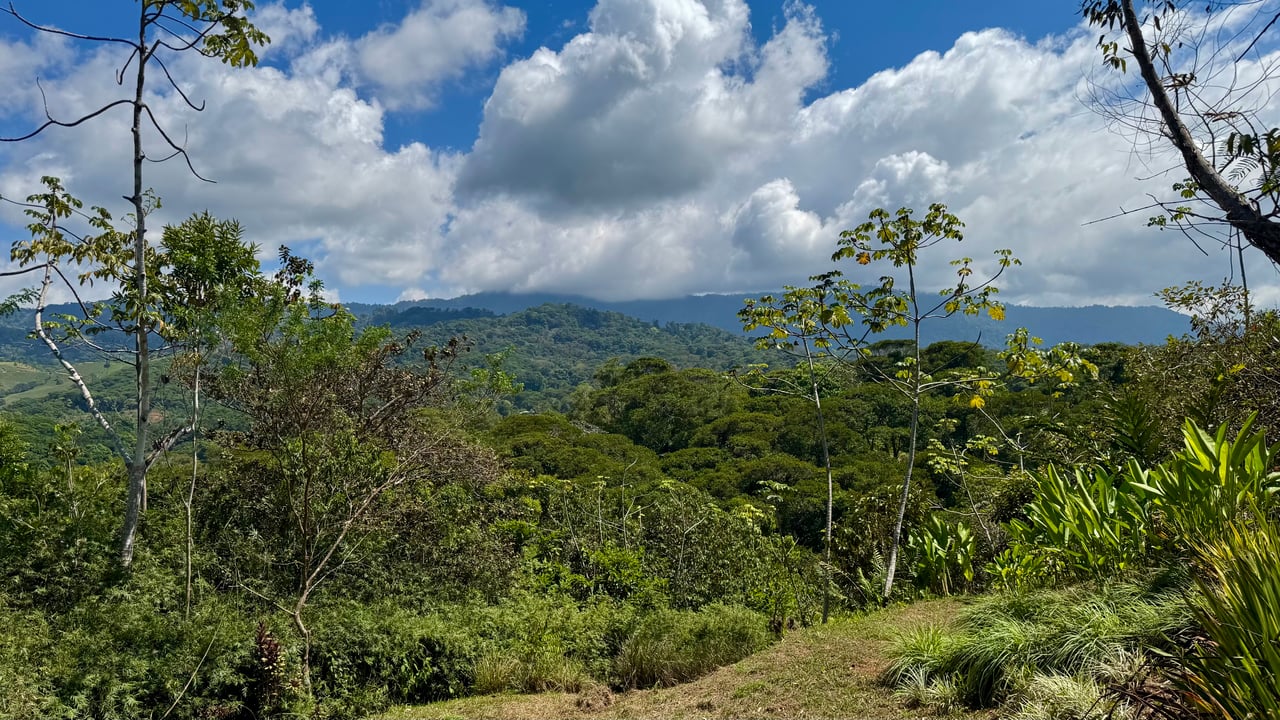 New 1,4 Acre lot in Platanillo – With Legal Water  