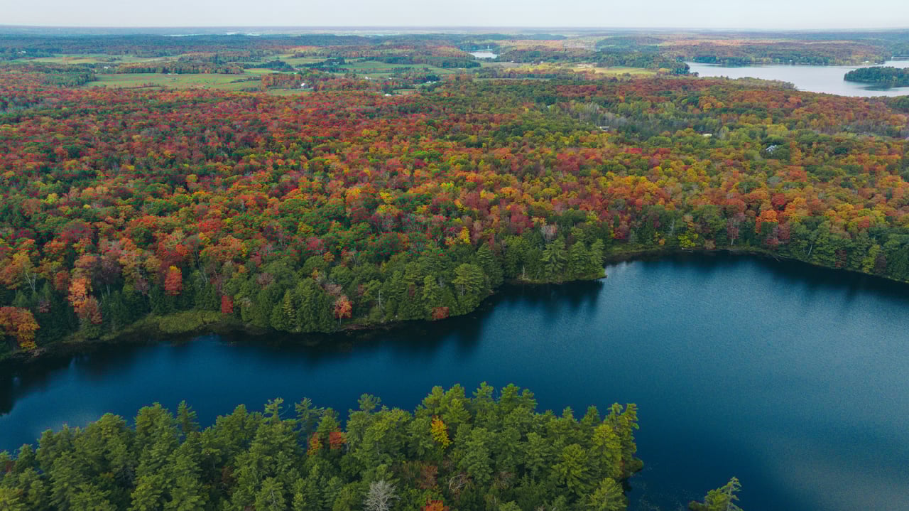 Camel Lake