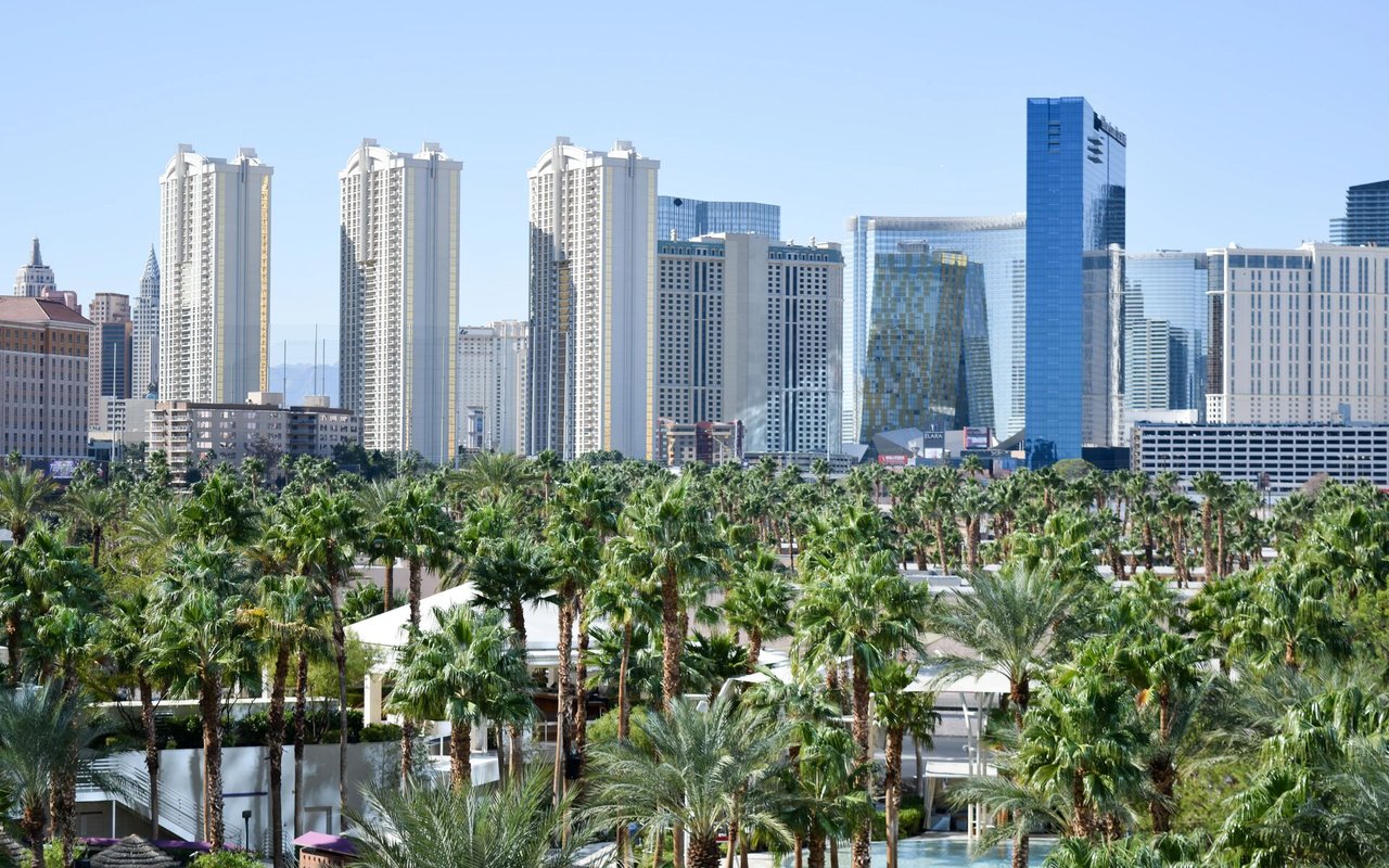 New business development boss offers fresh look at Las Vegas