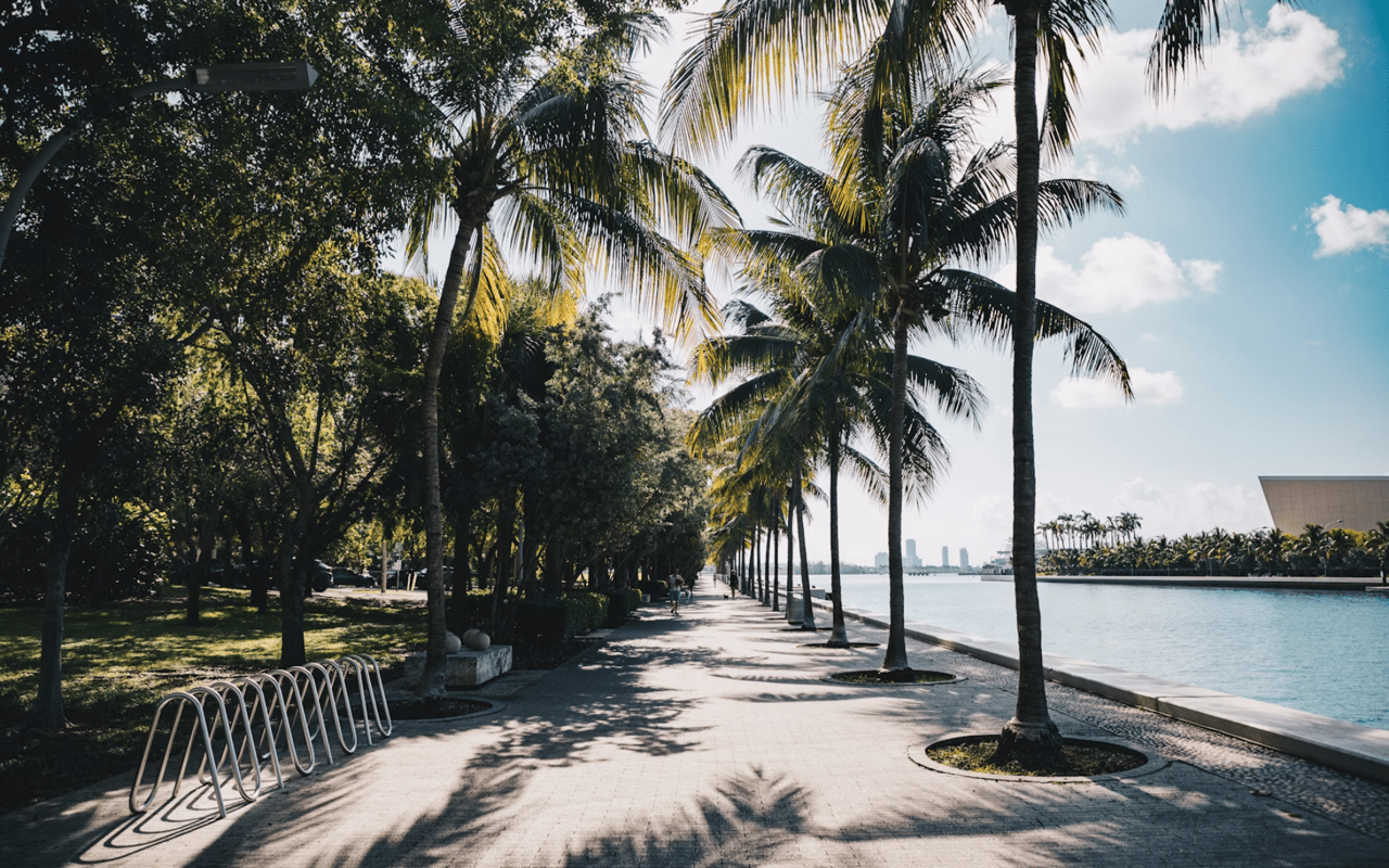 The Top Attractions in Coconut Grove, FL for Locals or Tourists