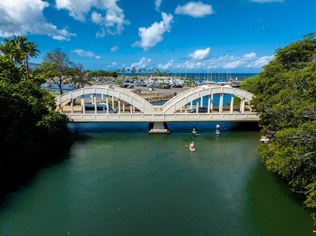 The Green Pineapple Estate