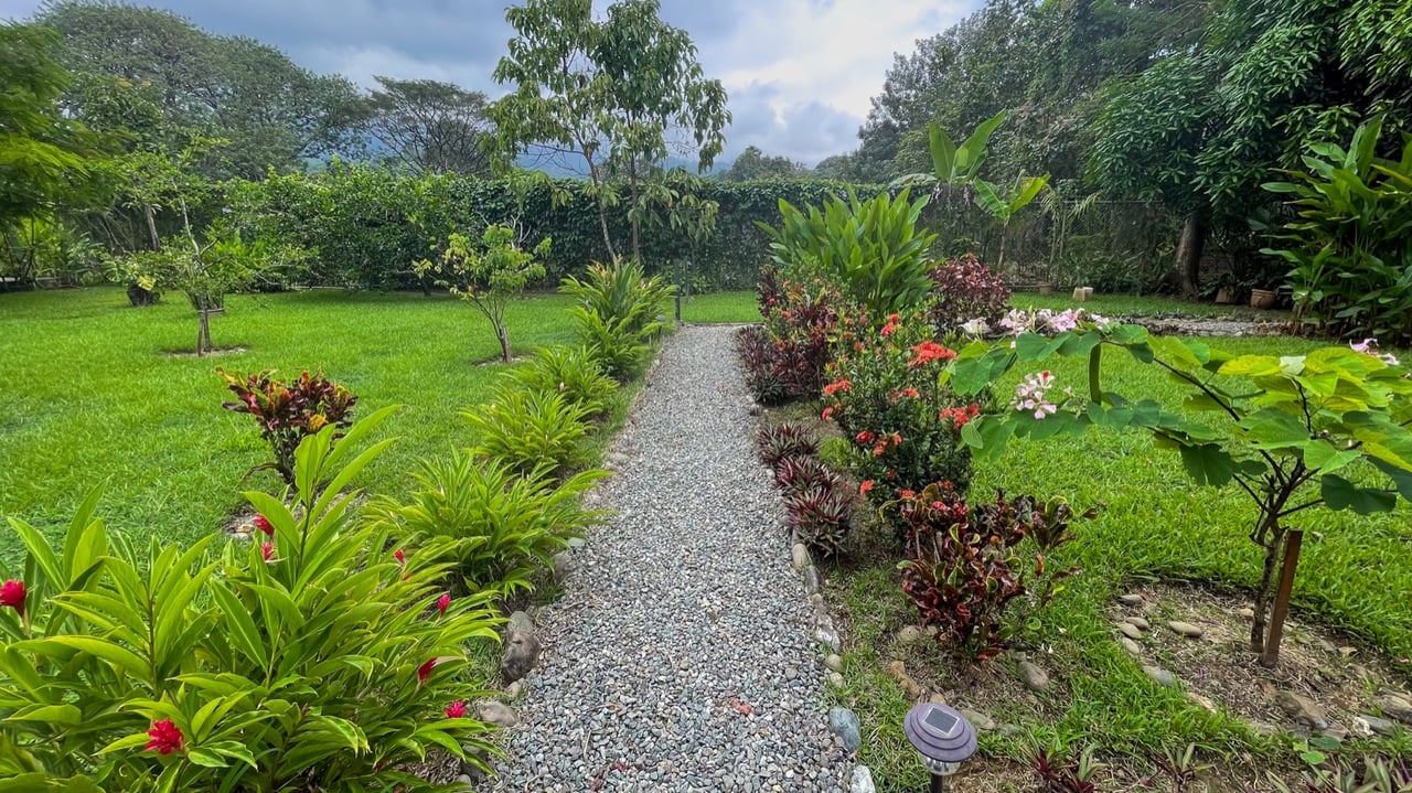 Investment Opportunity! Eco-Friendly Rental Property Near Playa Chaman and Playa Colonia