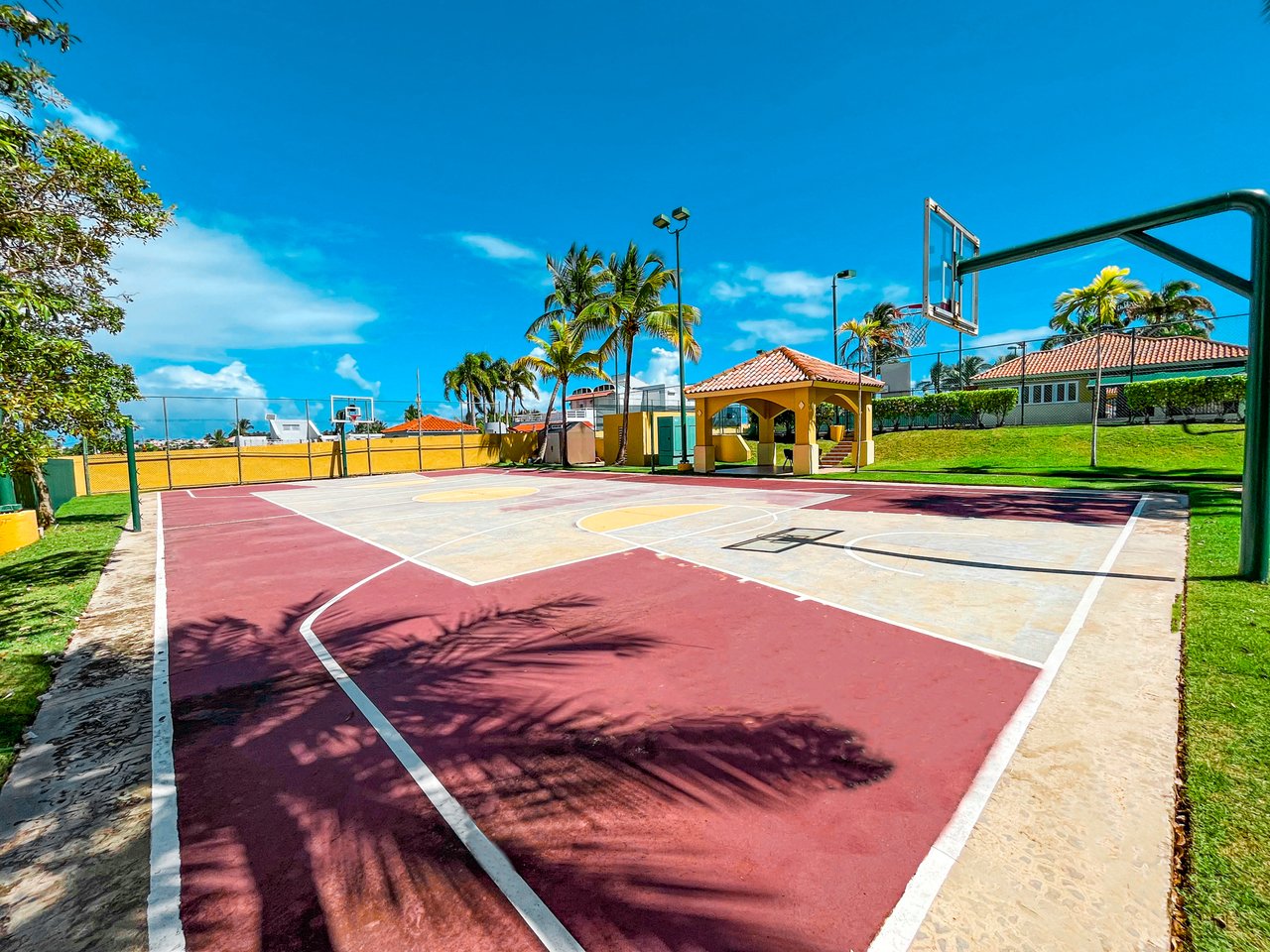 Royal Palm B-502