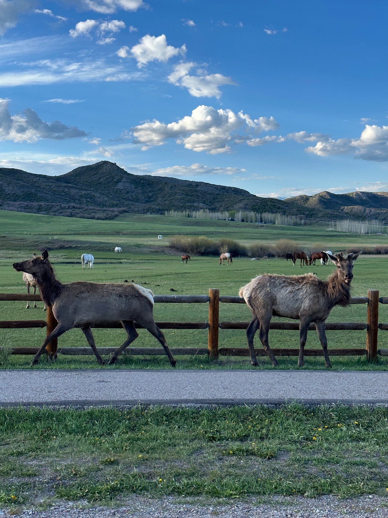 Snowmass Village