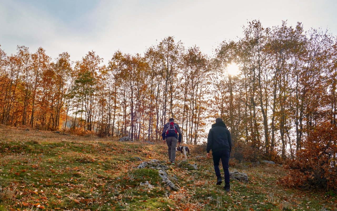 Explore Monroe County NY hiking trails