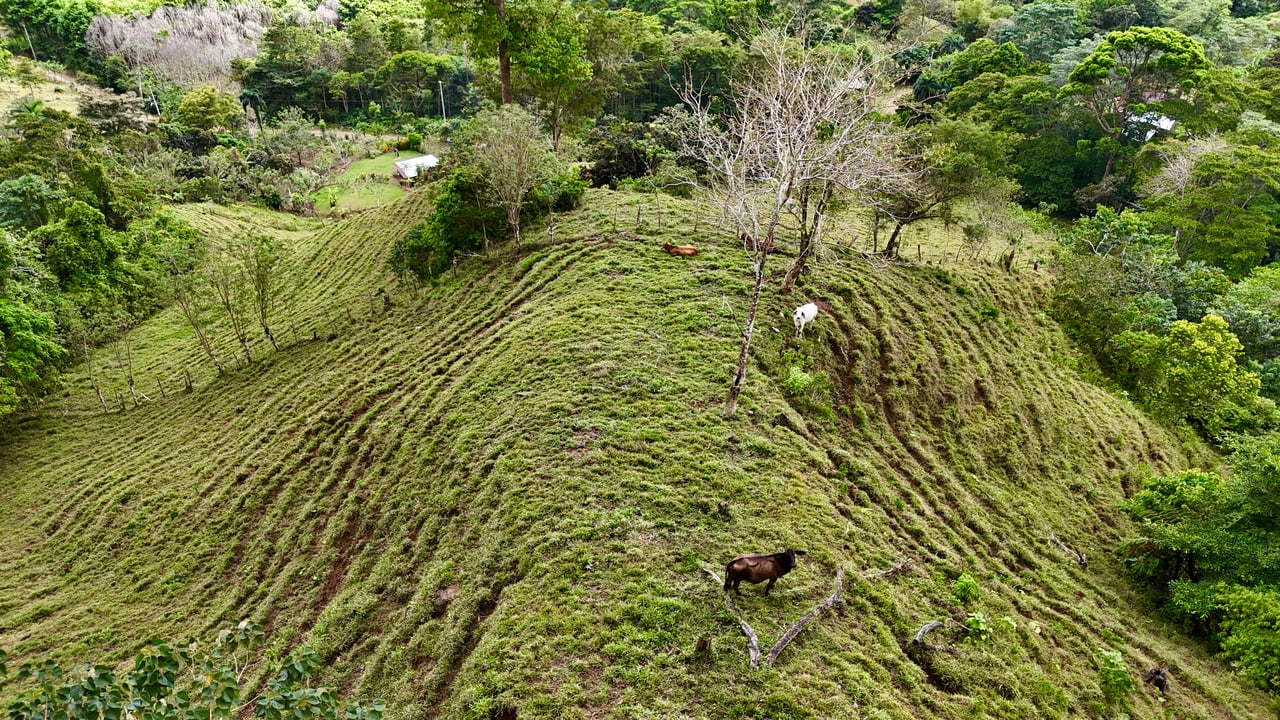 Gorgeous Land in San Luis Morete - Uvita - Over 17 Acres