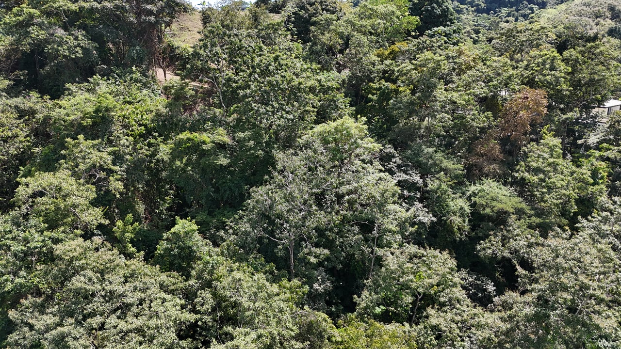 Luxury Gated Ocean-View Land Minutes from Manuel Antonio National Park and Marina