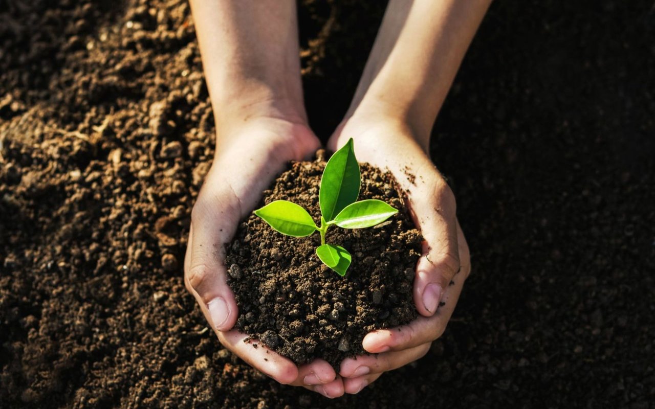 Earth Day | Santa Barbara Style