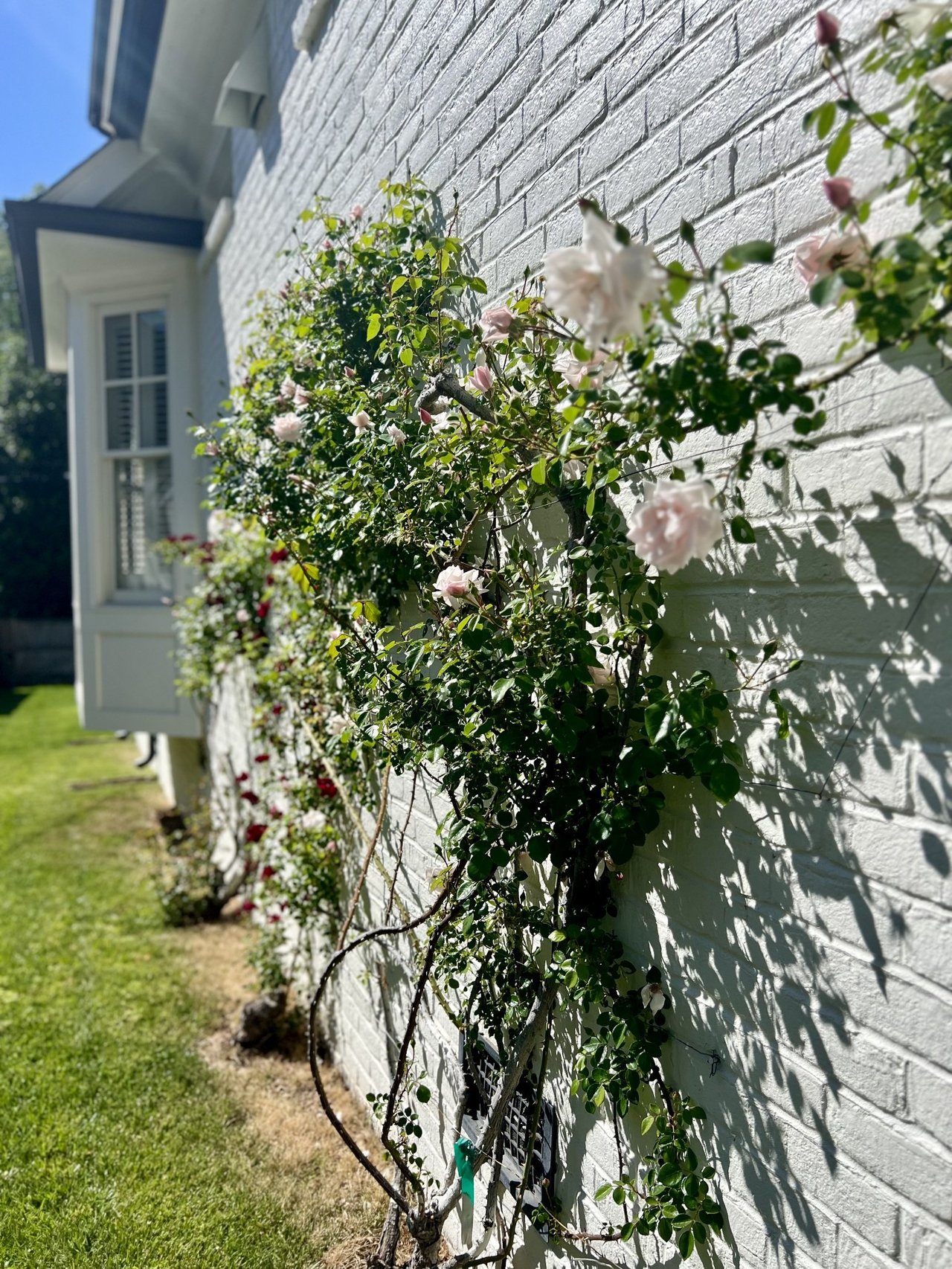 108 Lasalle Ct