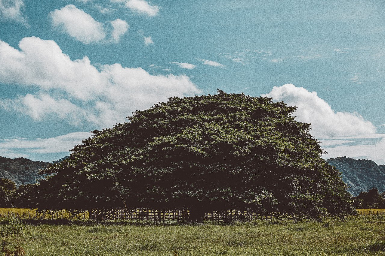 Punta Sabana & Mar Serena