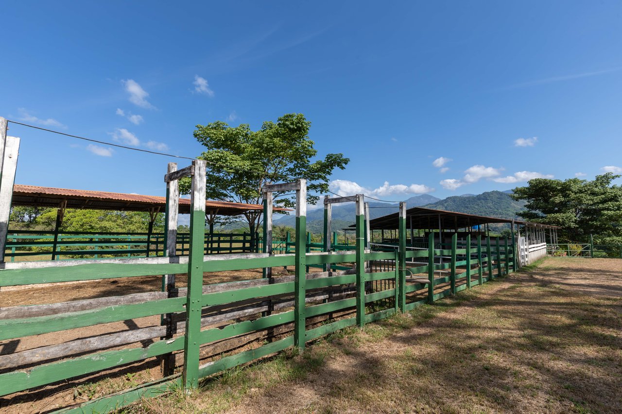 Hacienda-Style Retreat For Sale in Naranjito