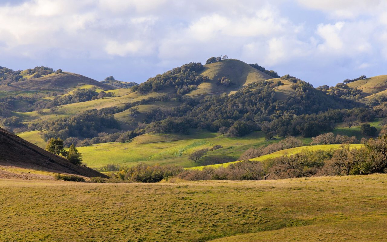 Marin County
