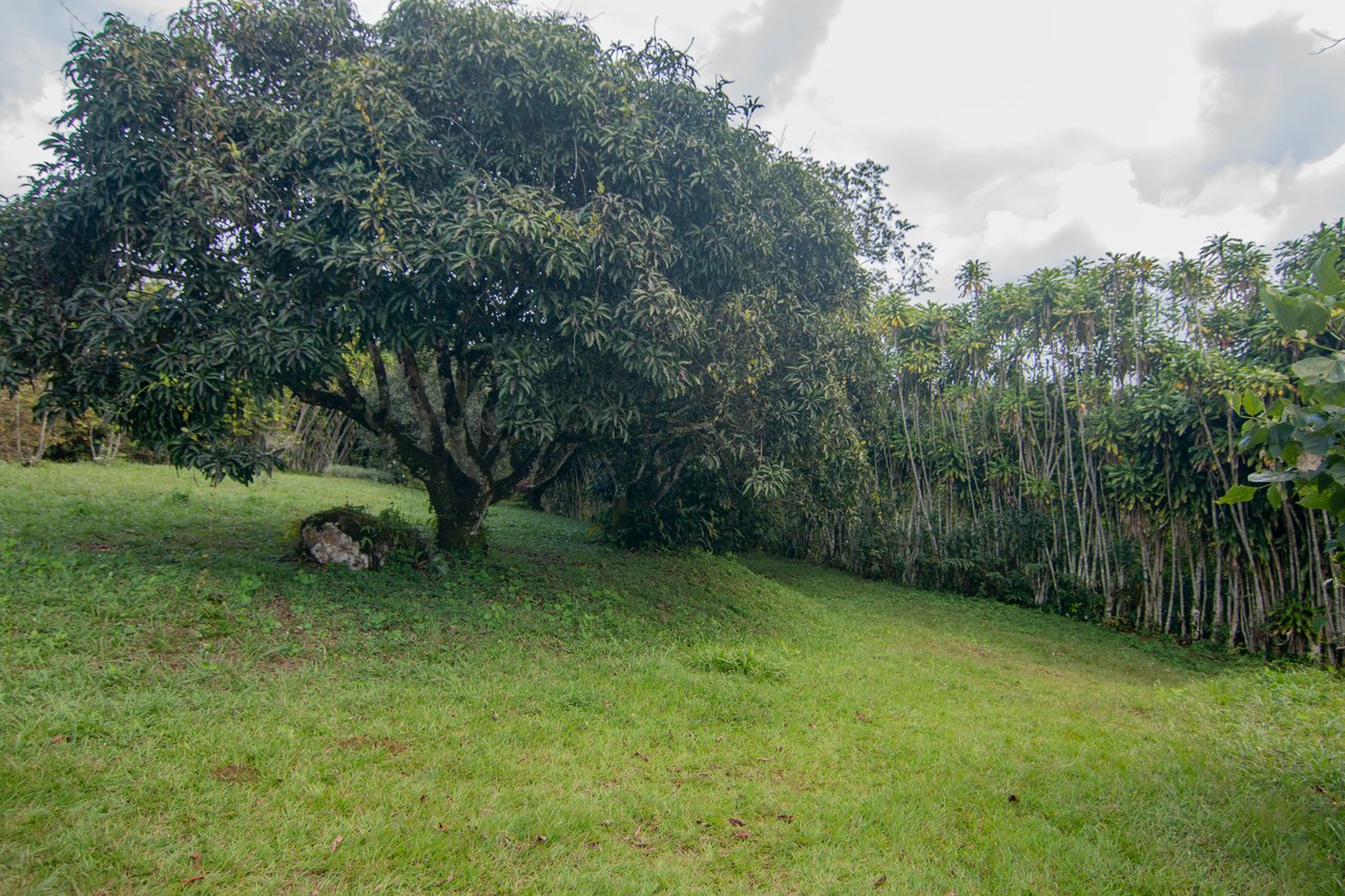 Sustainable Sanctuary: Wooden Farm House, 3 Acres + Food Forest