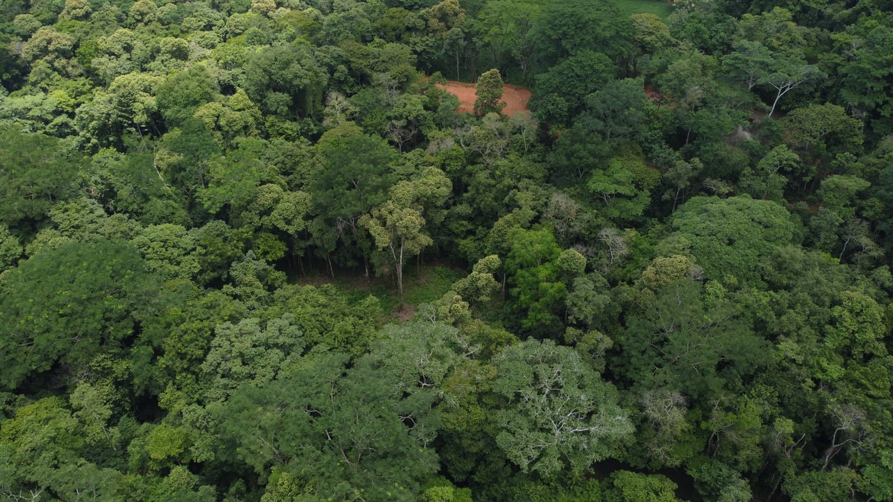 Jungle Oasis with River Frontage Near Dominical – 5.2 Acres of Pure Nature