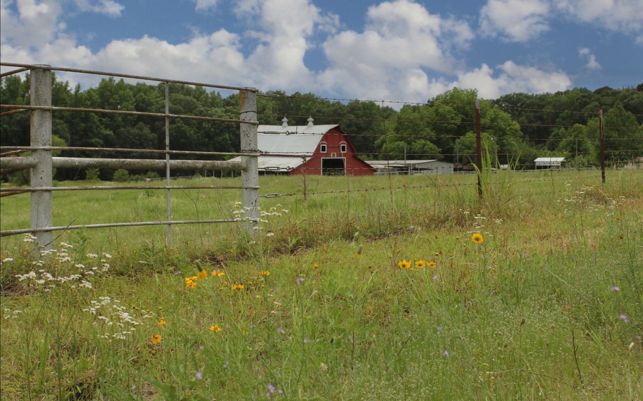 Eastland County