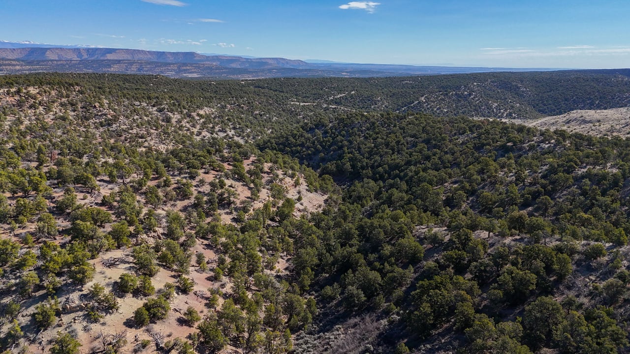 1 W Elk Meadows
