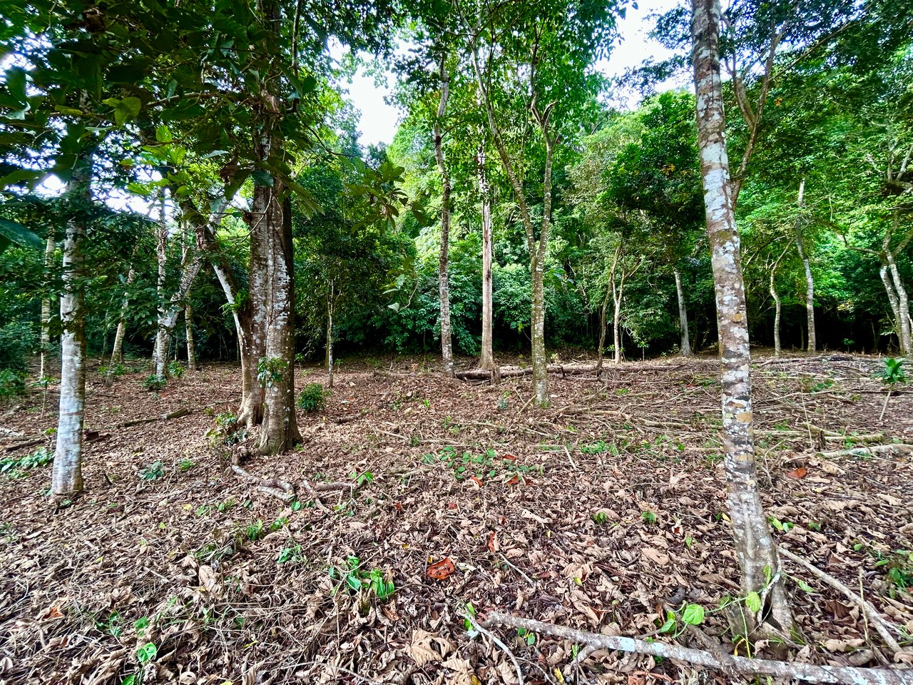 Tawal Lots for Sale – Prime Commercial & Residential Opportunity