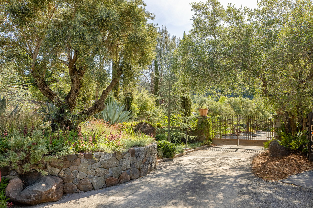 Alexander Valley, Sonoma County California