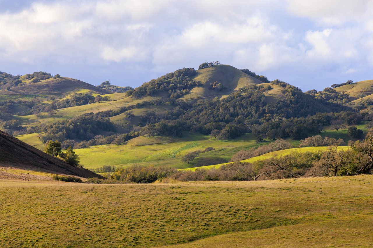 Marin Outdoor Living: Parks, Trails & Nature