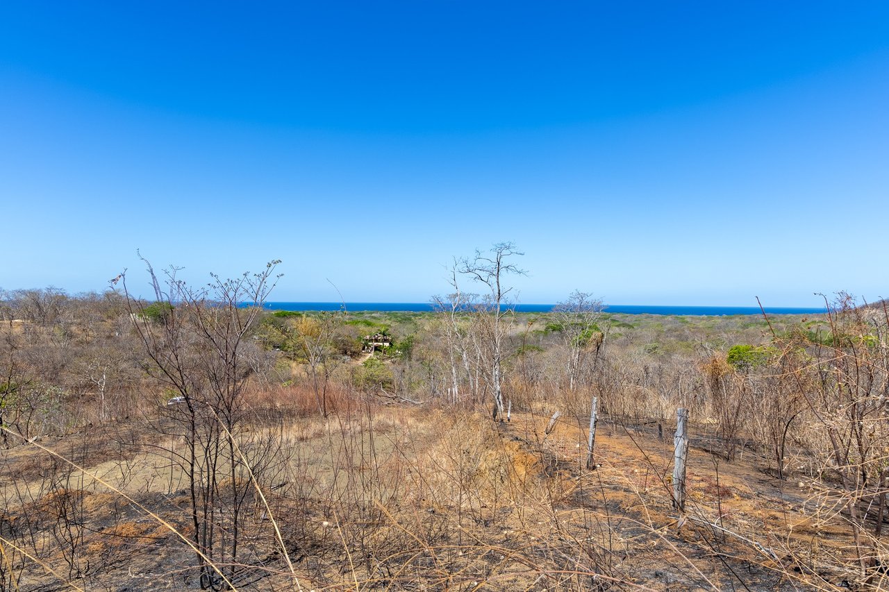 Finca Los Pargos Lot – Oceanview lot with water!, Playa Negra, Guanacaste
