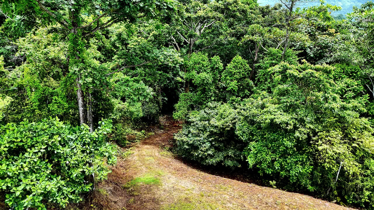 Costa Azul Residential Project - Tres Ríos de Osa, Costa Rica