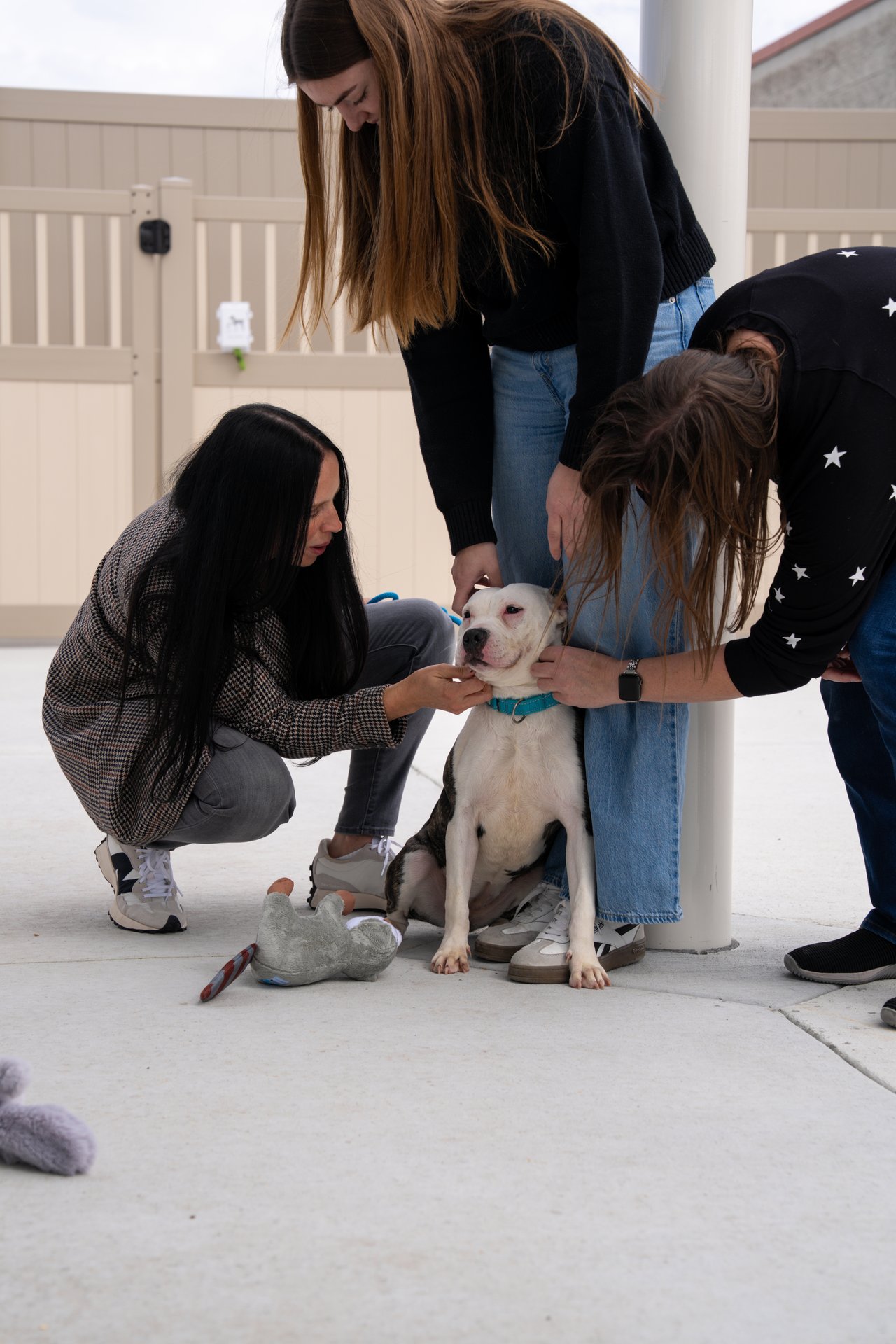 Three women gently pet a seated white dog wearing a turquoise collar.