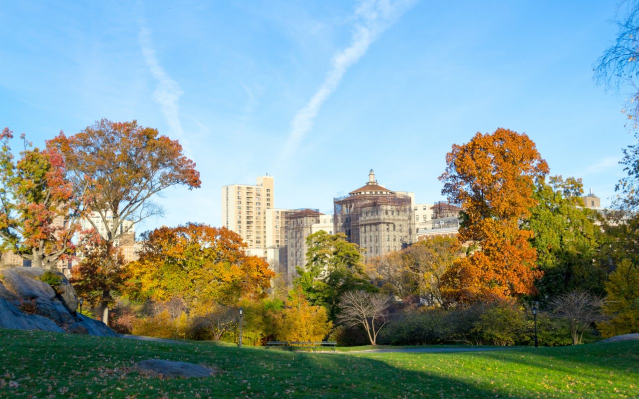 The Best Parks in the Concrete Jungle