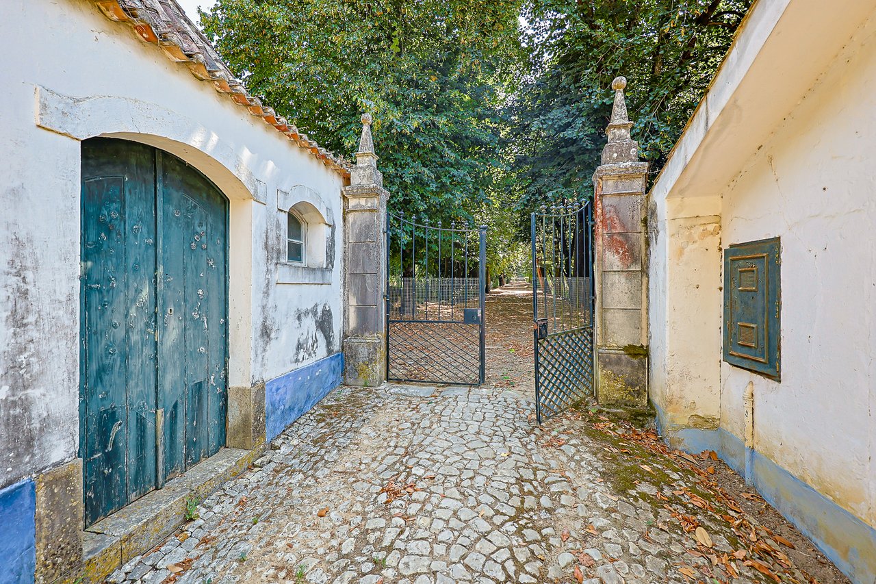 Magnificent 17th-Century Palace with  76,400 m² Estate Near Coimbra