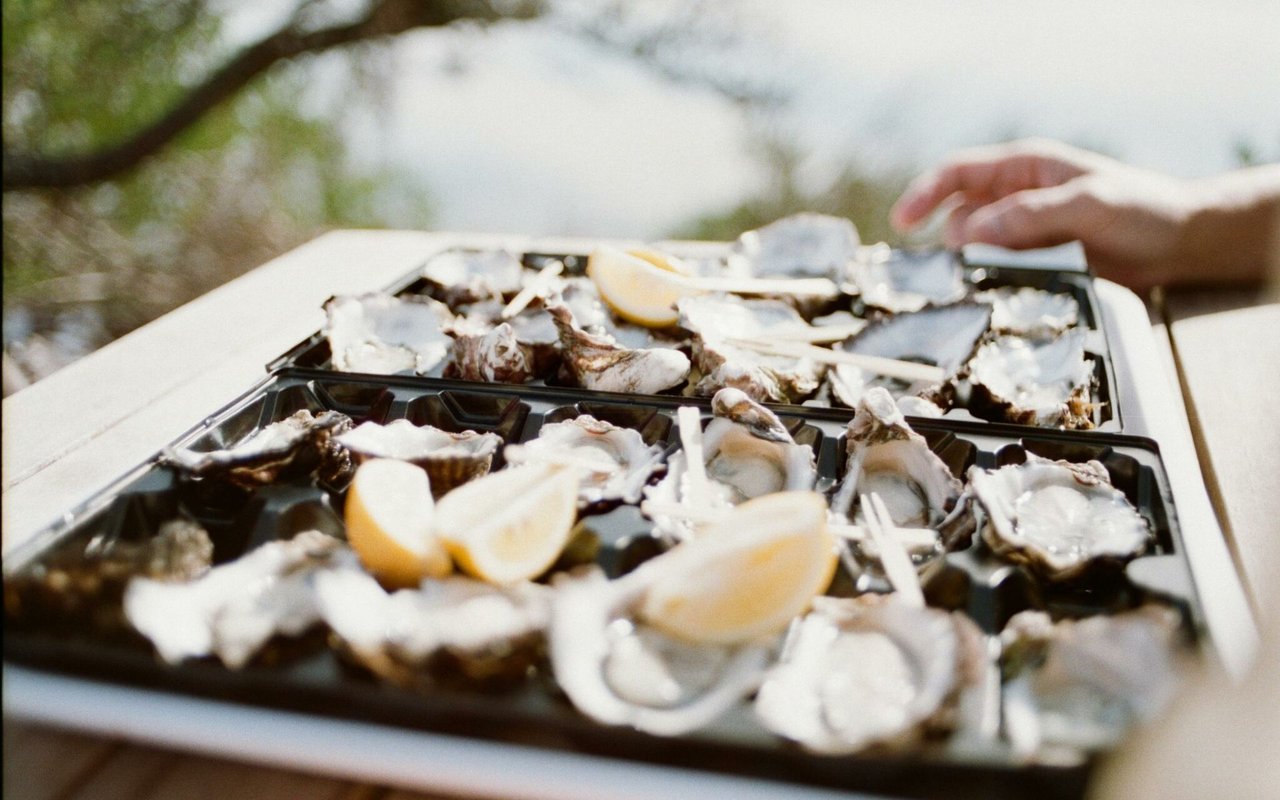 The Best Spots to Enjoy Oysters in Charleston