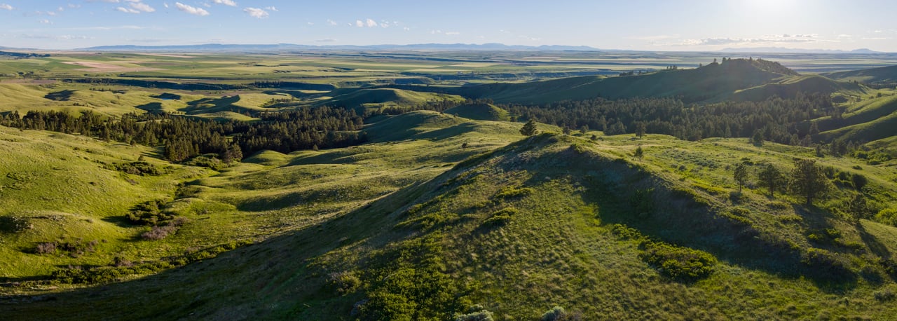 Big Spring Legacy Ranch