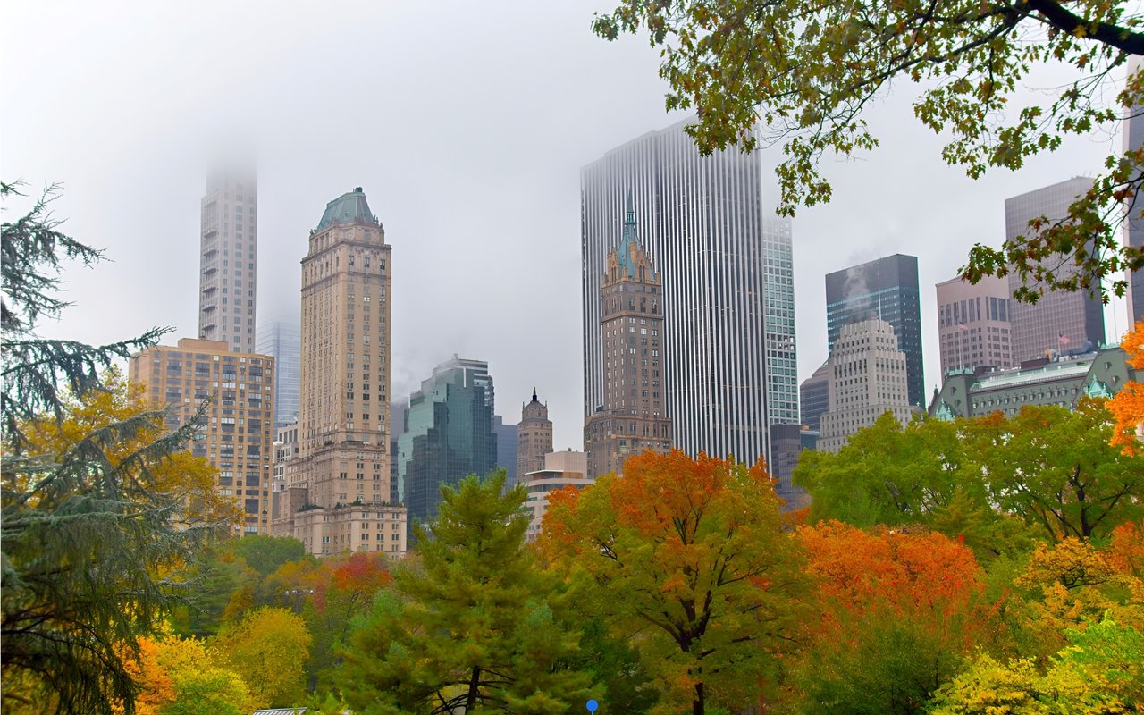 Elegran Manhattan Market Update: October 2023